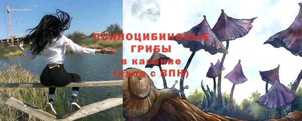 сатива Лиски