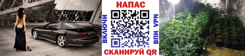 Марихуана Ganja  Гаджиево 