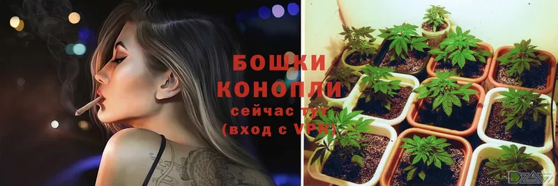 где купить наркоту  Гаджиево  Канабис SATIVA & INDICA 